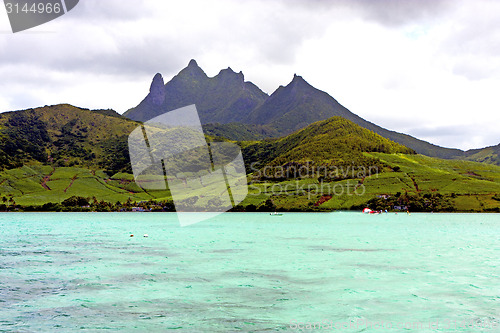 Image of beach ile du cerfs seaweed in indian mountain