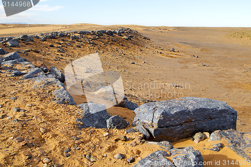 Image of  bush old fossil in  the desert 