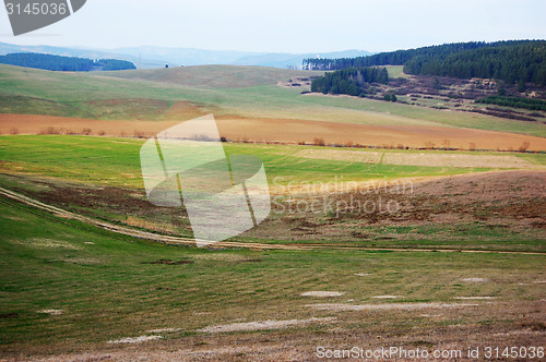 Image of Field with forest