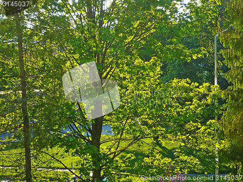 Image of Park