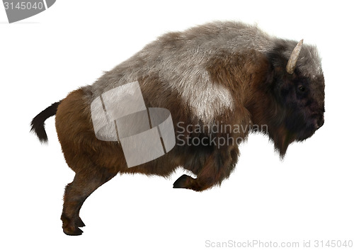 Image of American Bison