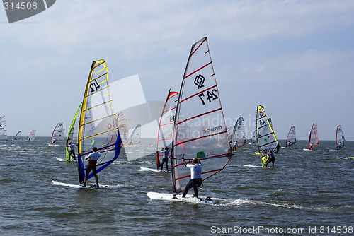 Image of Windsurfing on the sea