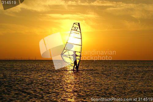 Image of Windsurfing