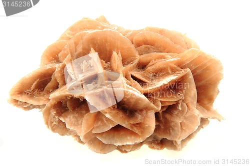 Image of desert rose mineral isolated