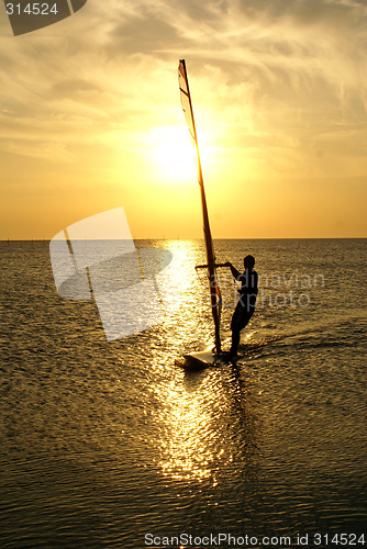 Image of Windsurfing and sun