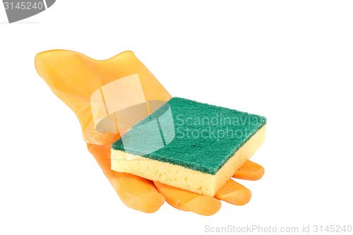 Image of Scouring sponge on rubber glove