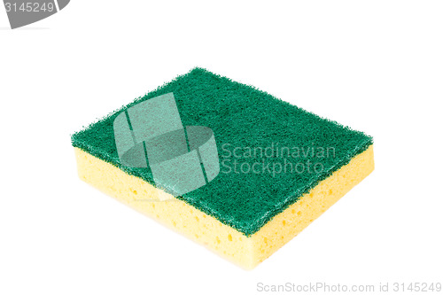 Image of Scouring sponge