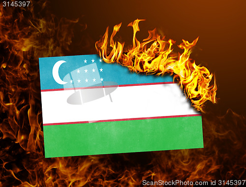 Image of Flag burning - Uzbekistan