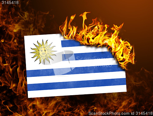 Image of Flag burning - Uruguay