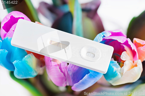 Image of Closeup of pregnancy test and multicolored tulips