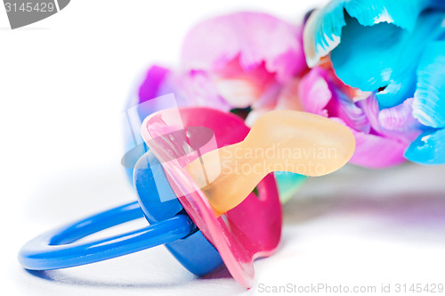 Image of Pacifier with multicolored tulips