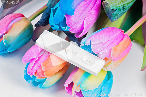 Image of Multicolored tulips and pregnancy test