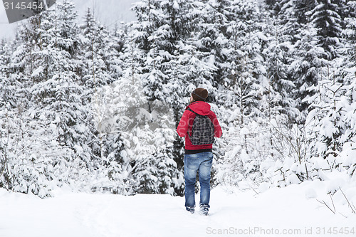 Image of Young man hiking in wintry forest landscape