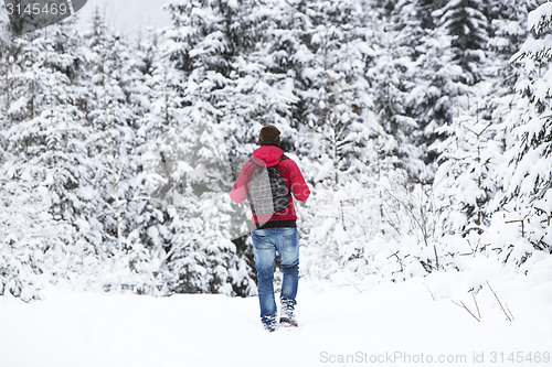 Image of Young man hiking in wintry forest landscape