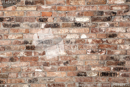 Image of Brick wall background