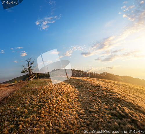 Image of Grass in mountains