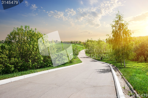 Image of Birch and alley