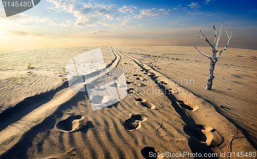 Image of Sand desert