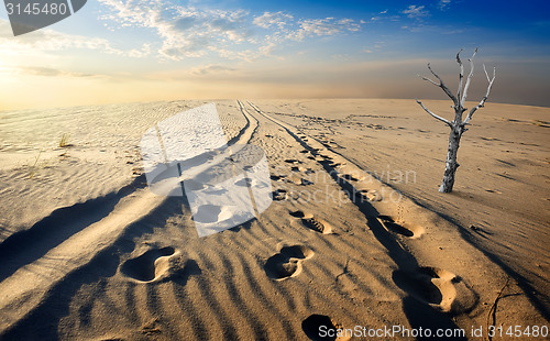 Image of Sand desert