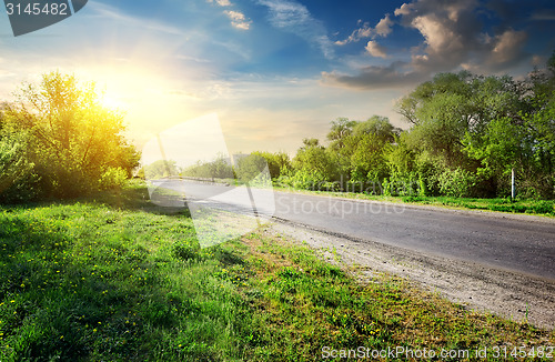 Image of Trees near road