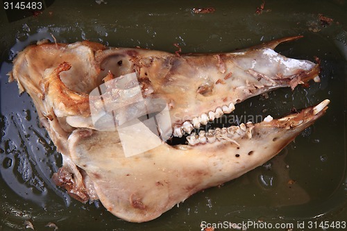 Image of skull bone from roasted pig head 