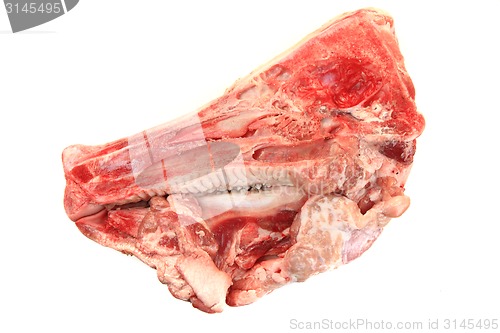 Image of raw pig head isolated 