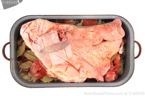 Image of raw pig head isolated 