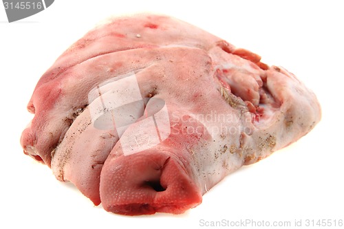 Image of raw pig head isolated 