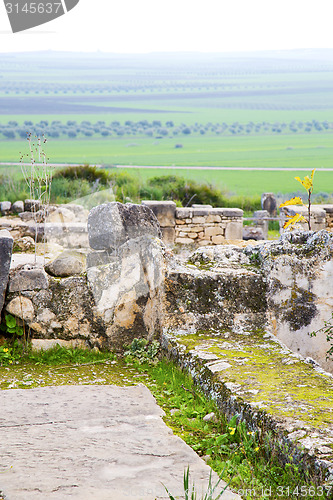 Image of volubilis in morocco africa the old  site