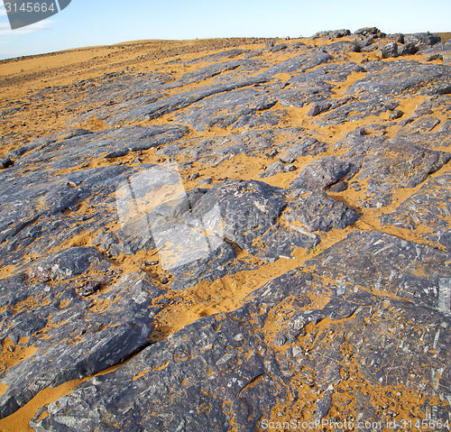 Image of  old fossil in  the desert of morocco sahara and rock  stone sky