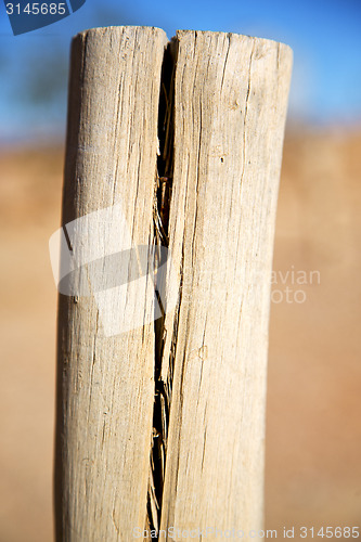 Image of   wood in the sky morocco africa winter