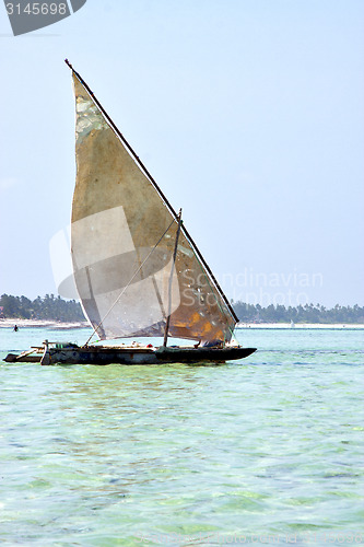 Image of beach   in zanzibar seaweed   