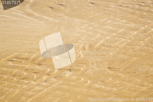 Image of dun  in africa brown coastline wet sand beach  