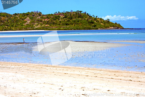 Image of beautiful andilana beach seaweed in indian  