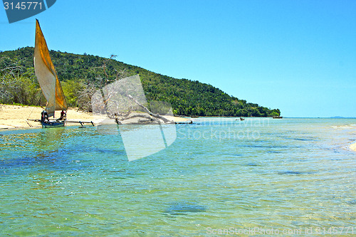 Image of pirogue beach seaweed in indian ocean  and rock