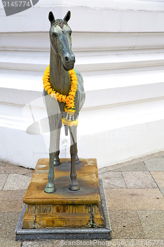 Image of horse  in the temple bangkok asia   sidewalk