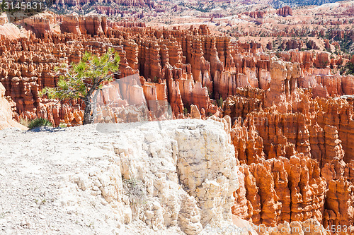 Image of Bryce Canyon