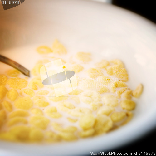 Image of Milk and cornflakes