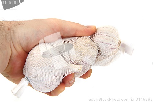 Image of garlic in the human hand 