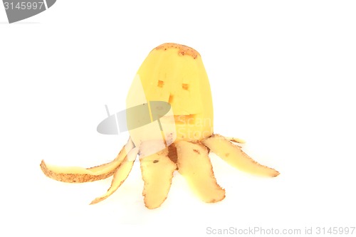Image of potato figure 