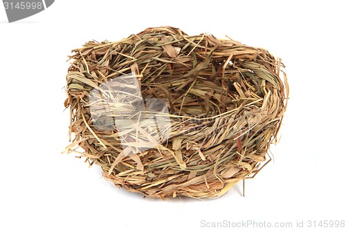 Image of empty nest isolated 