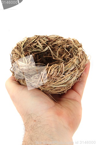 Image of empty nest isolated 