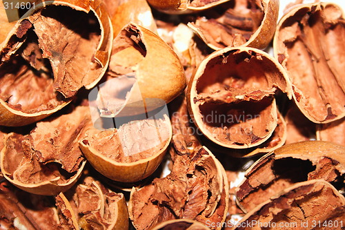 Image of broken nut shells