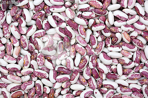 Image of Bicolor beans.