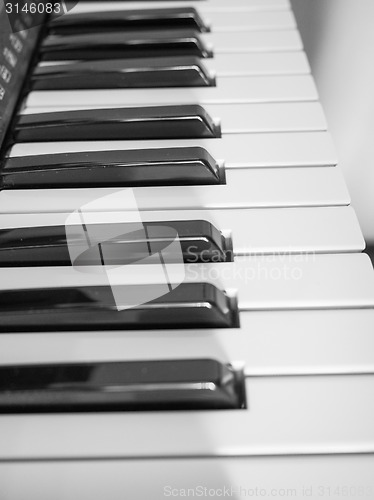 Image of Music keyboard
