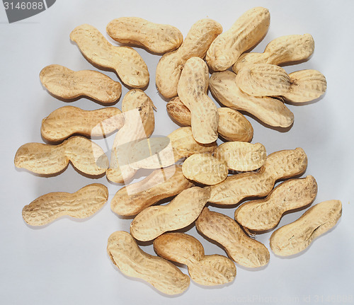 Image of Peanuts fruit