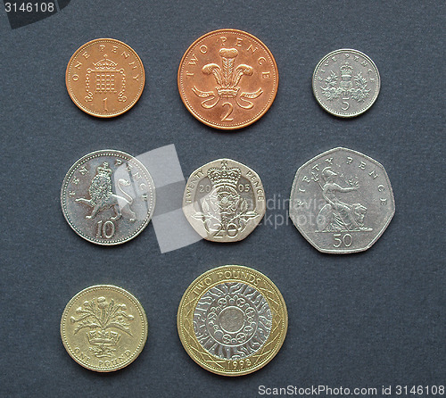 Image of Pounds