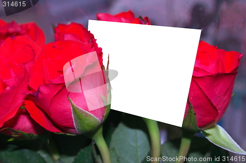 Image of roses and a card