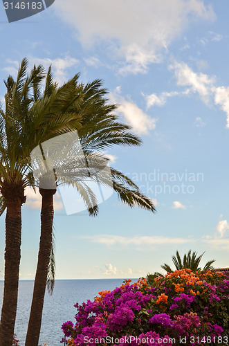 Image of Beautiful view at the Canary Islands