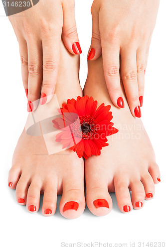 Image of Woman with beautiful red manicured nails